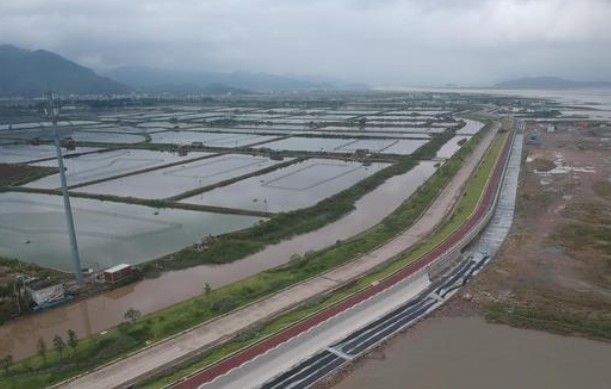 台州三门海塘加固工程：是“生命线”也是“致富线”